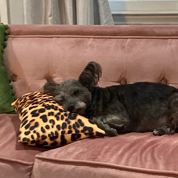 Meet your Posher, Catherine - Picture 1 of 2